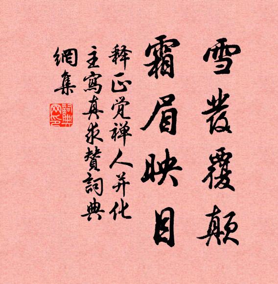 释正觉雪发覆颠，霜眉映目书法作品欣赏