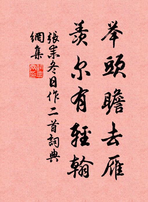 张耒举头瞻去雁，羡尔有轻翰书法作品欣赏