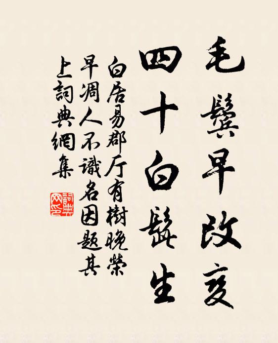 白居易毛鬓早改变,四十白髭生书法作品欣赏