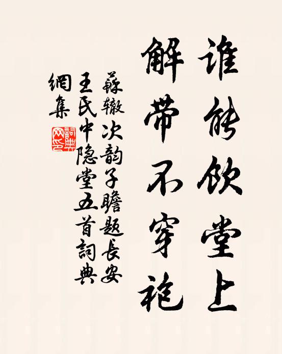 苏辙谁能饮堂上，解带不穿袍书法作品欣赏