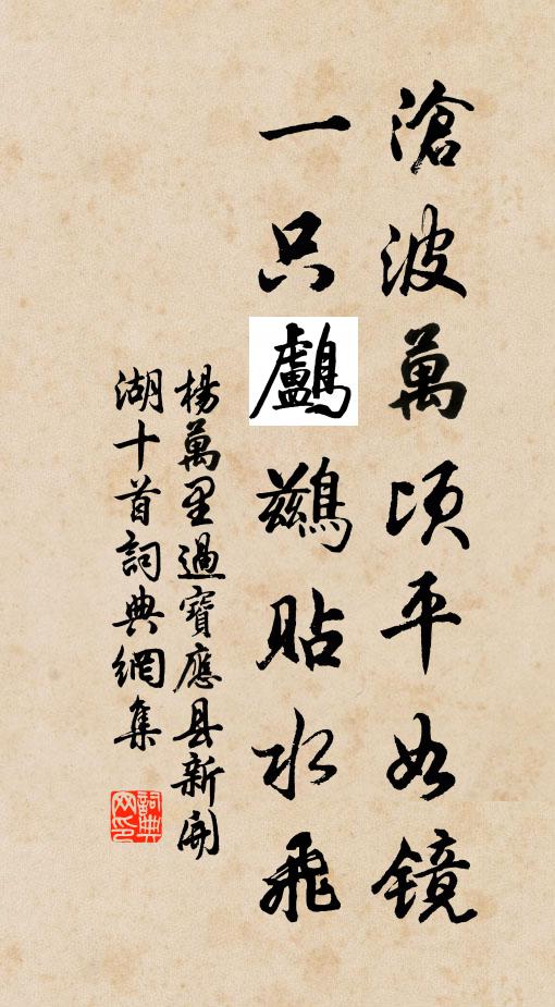 杨万里沧波万顷平如镜，一只鸬鹚贴水飞书法作品欣赏