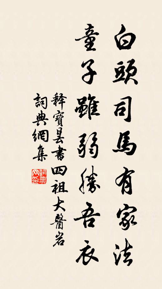 释宝昙白头司马有家法，童子虽弱胜吾衣书法作品欣赏
