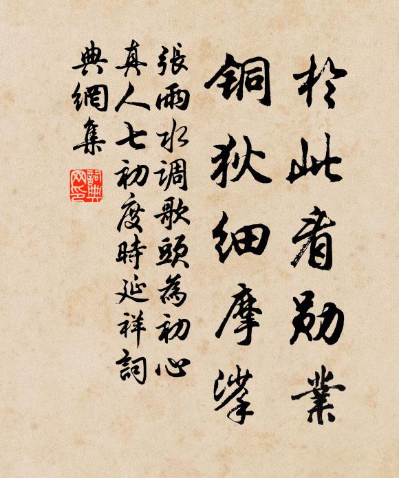 张雨于此看勋业，铜狄细摩挲书法作品欣赏