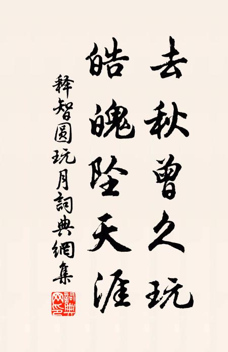 释智圆去秋曾久玩，皓魄坠天涯书法作品欣赏