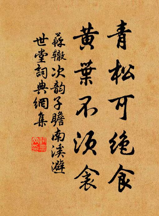 苏辙青松可绝食，黄叶不须衾书法作品欣赏