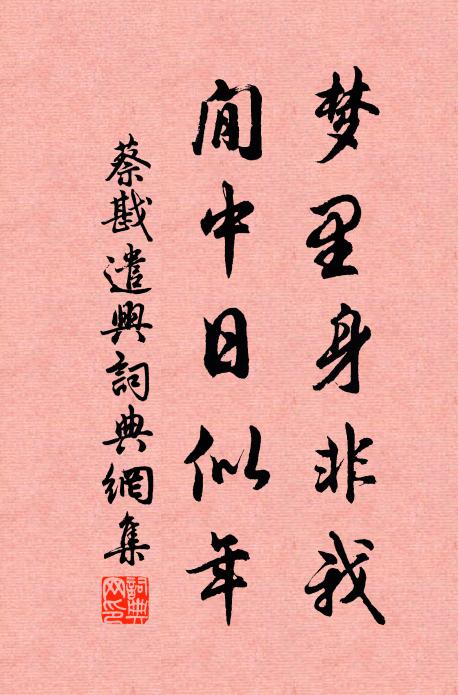 蔡戡梦里身非我，閒中日似年书法作品欣赏