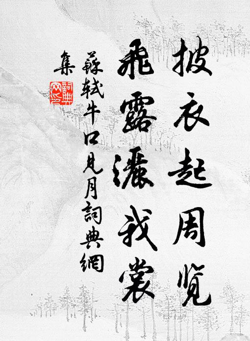 苏轼披衣起周览，飞露洒我裳书法作品欣赏