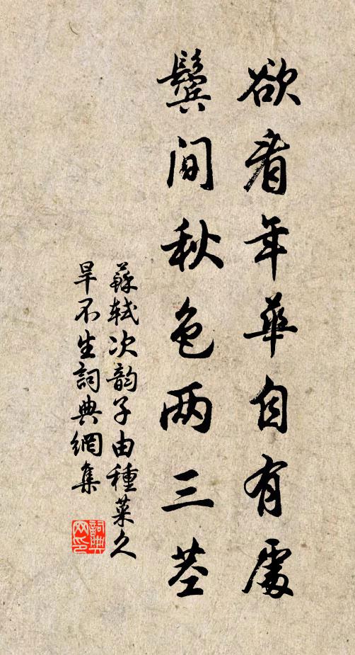 苏轼欲看年华自有处，鬓间秋色两三茎书法作品欣赏