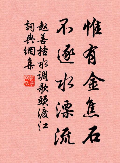 赵善括惟有金焦石，不逐水漂流书法作品欣赏