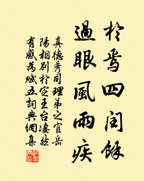 真德秀於焉四闰余，过眼风雨疾书法作品欣赏