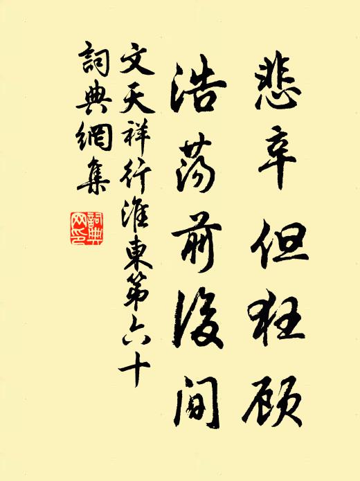 文天祥悲辛但狂顾，浩荡前后间书法作品欣赏