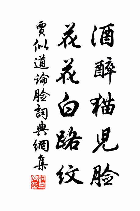 贾似道酒醉猫儿脸，花花白路纹书法作品欣赏