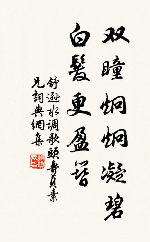 舒逊双瞳炯炯凝碧，白发更盈簪书法作品欣赏