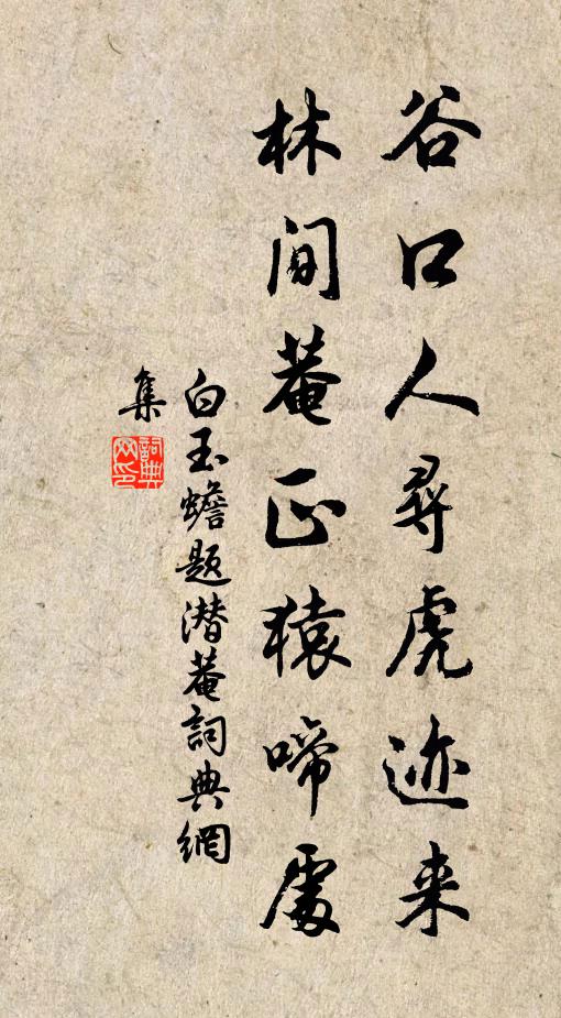 白玉蟾谷口人寻虎迹来，林间菴正猿啼处书法作品欣赏