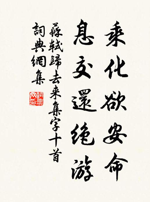 苏轼乘化欲安命，息交还绝游书法作品欣赏