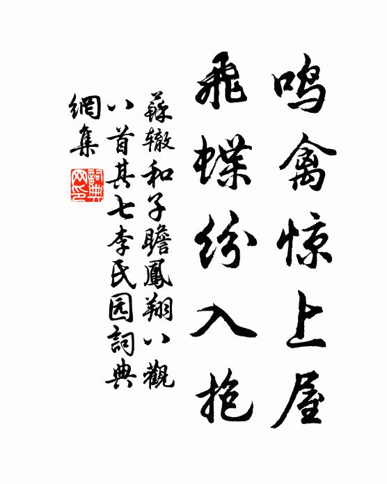 苏辙鸣禽惊上屋,飞蝶纷入抱书法作品欣赏
