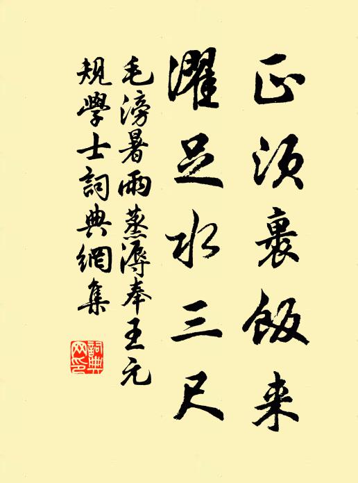 毛滂正须裹饭来，濯足水三尺书法作品欣赏