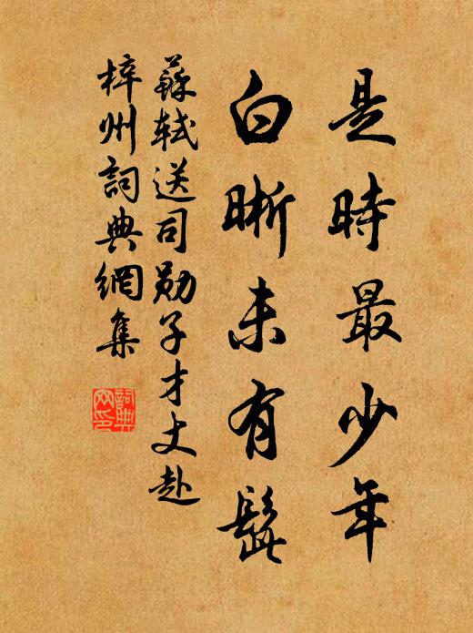 苏轼是时最少年,白晰未有髭书法作品欣赏