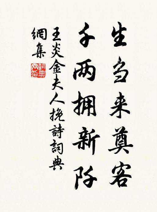 王炎生刍来奠客，千两拥新阡书法作品欣赏