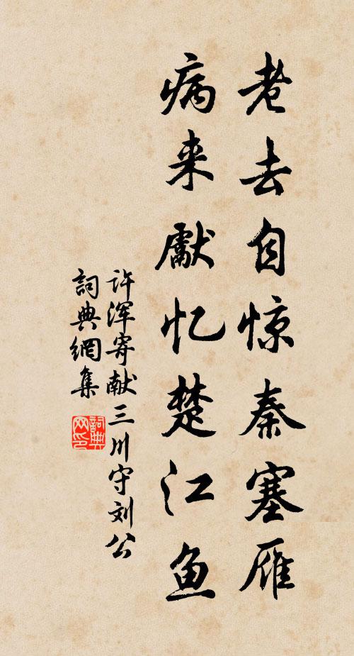 许浑老去自惊秦塞雁，病来先忆楚江鱼书法作品欣赏