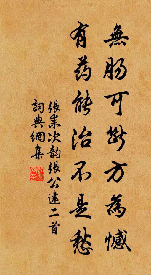张耒无肠可断方为憾，有药能治不是愁书法作品欣赏