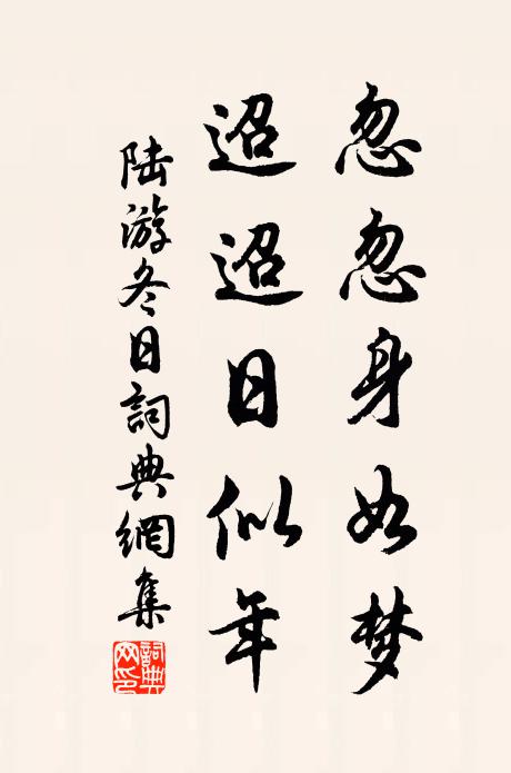 陆游忽忽身如梦，迢迢日似年书法作品欣赏