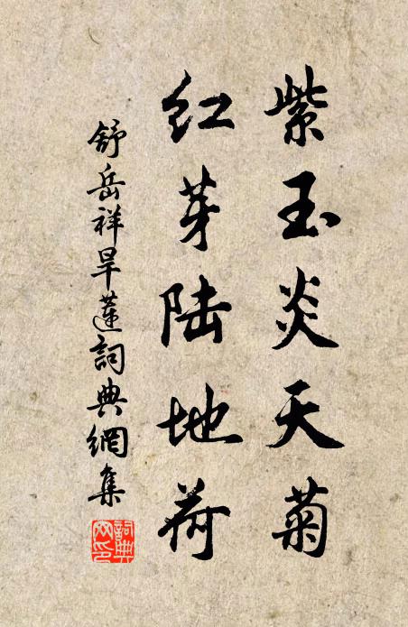 舒岳祥紫玉炎天菊，红芽陆地荷书法作品欣赏