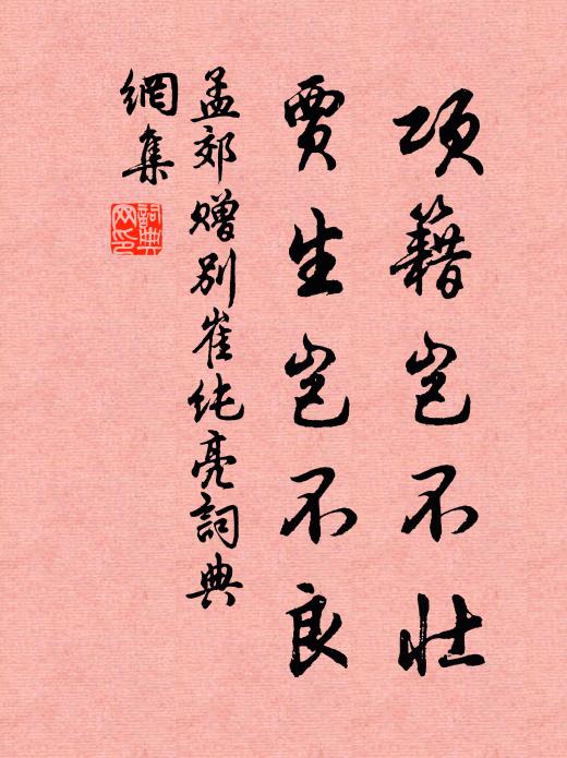 孟郊项籍岂不壮，贾生岂不良书法作品欣赏