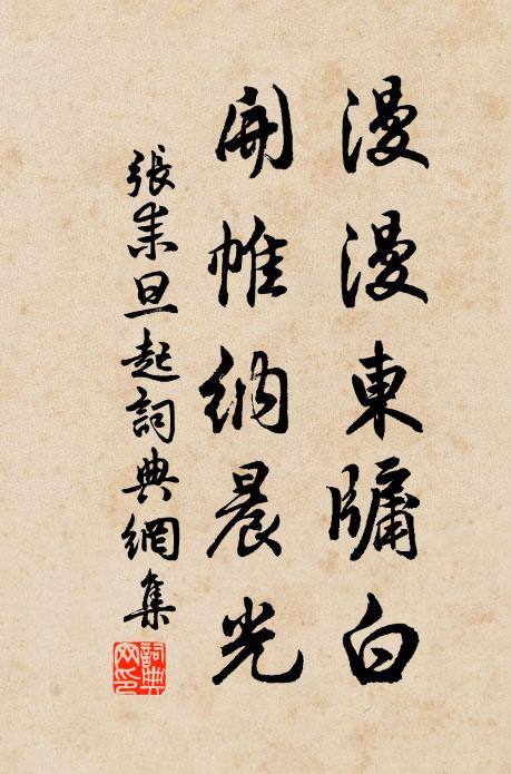 张耒漫漫东牖白，开帷纳晨光书法作品欣赏