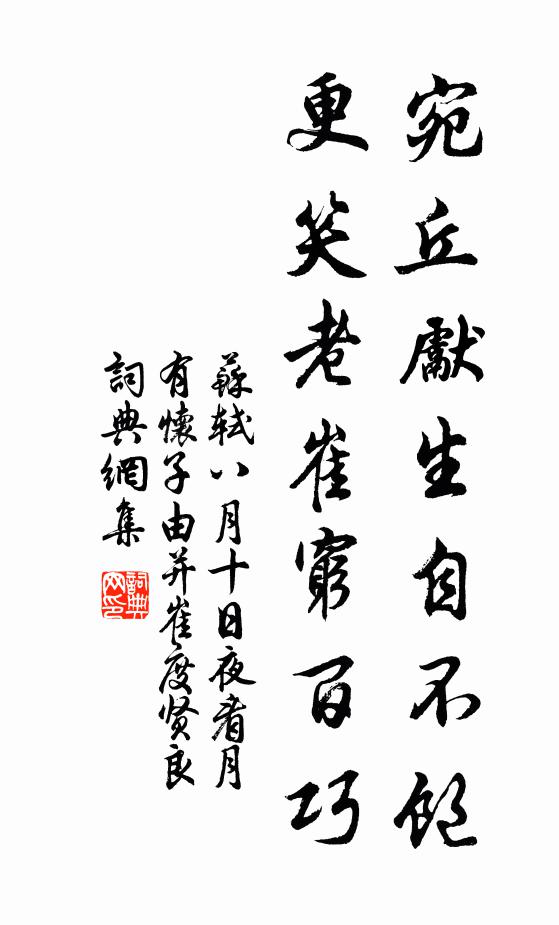 苏轼宛丘先生自不饱，更笑老崔穷百巧书法作品欣赏