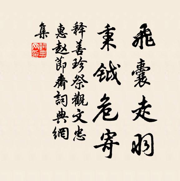 释善珍飞囊走羽，秉钺危寄书法作品欣赏