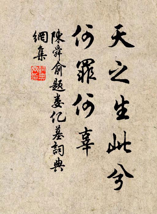 陈舜俞天之生此兮，何罪何辜书法作品欣赏