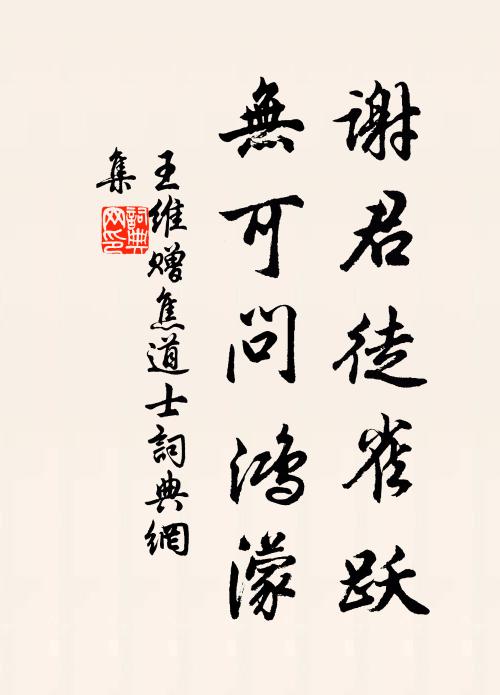 王维谢君徒雀跃，无可问鸿濛书法作品欣赏