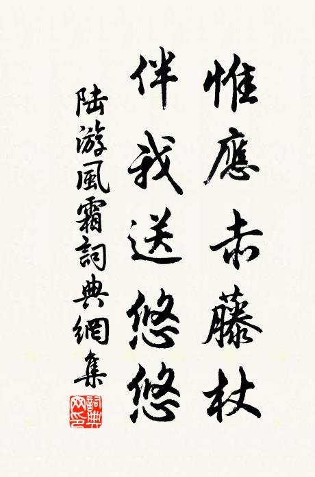 陆游惟应赤藤杖，伴我送悠悠书法作品欣赏