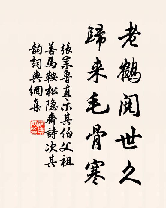 张耒老鹤阅世久，归来毛骨寒书法作品欣赏