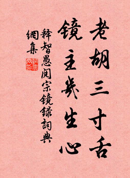 释智愚老胡三寸舌，镜主几生心书法作品欣赏