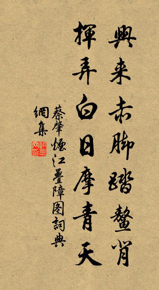 蔡肇兴来赤脚踏鳌背，挥弄白日摩青天书法作品欣赏