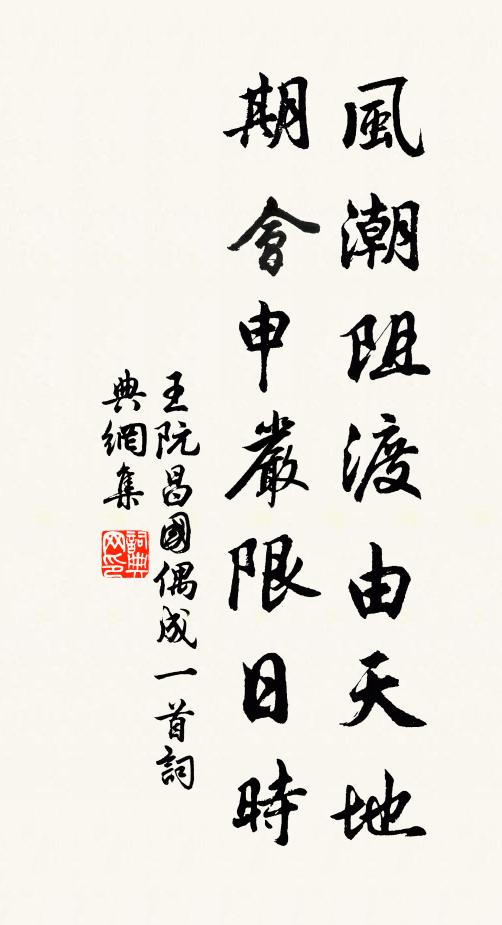 王阮风潮阻渡由天地，期会申严限日时书法作品欣赏