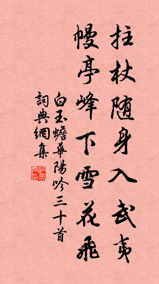 白玉蟾拄杖随身入武夷，幔亭峰下雪花飞书法作品欣赏