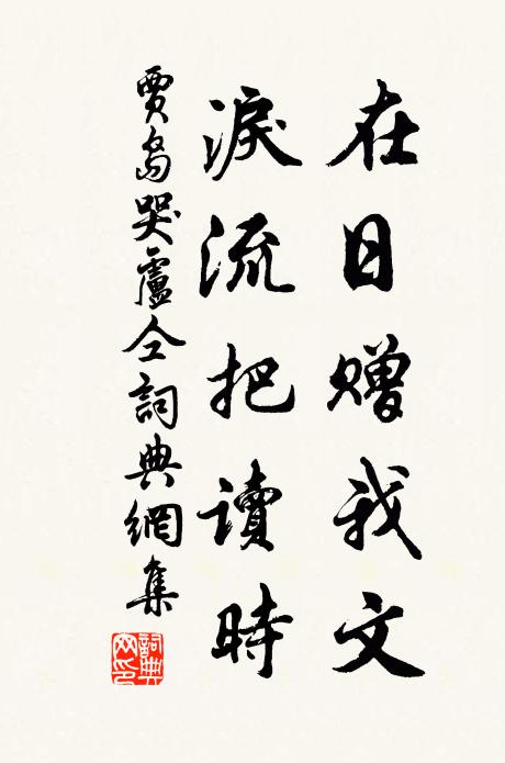 贾岛在日赠我文，泪流把读时书法作品欣赏
