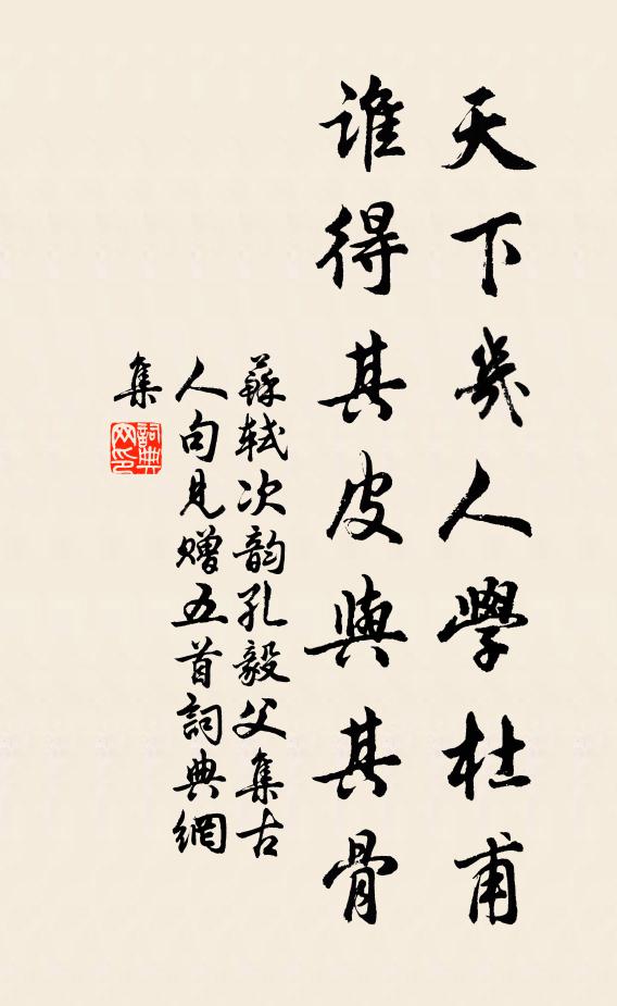 苏轼天下几人学杜甫，谁得其皮与其骨书法作品欣赏