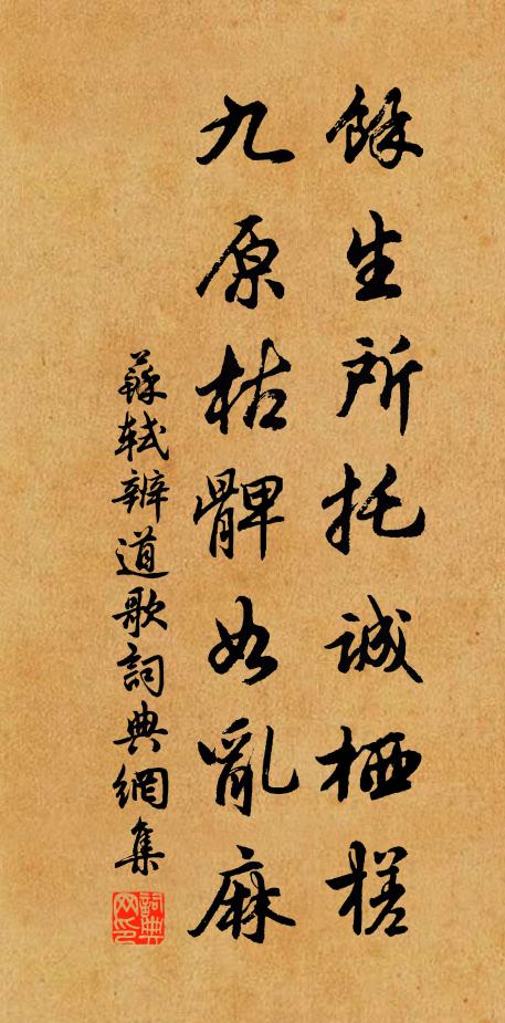 苏轼余生所托诚栖槎，九原枯髀如乱麻书法作品欣赏