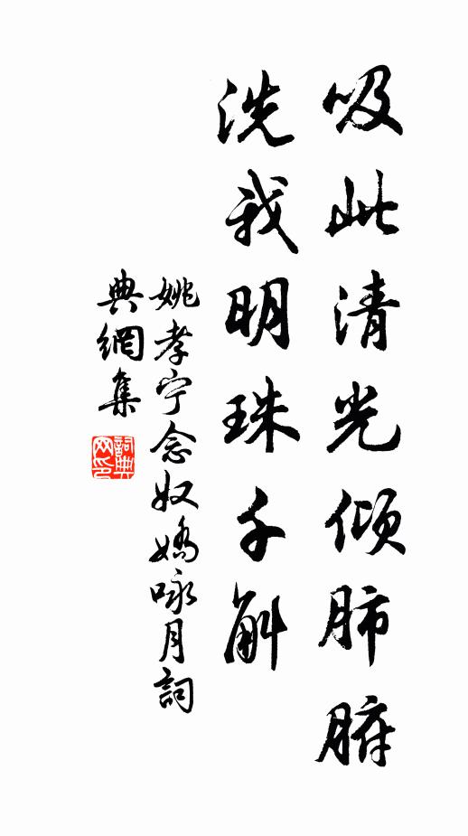 姚孝宁吸此清光倾肺腑，洗我明珠千斛书法作品欣赏