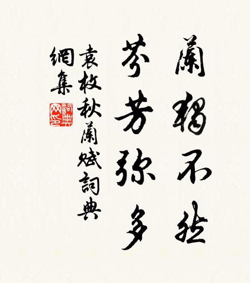 袁枚兰独不然，芬芳弥多书法作品欣赏