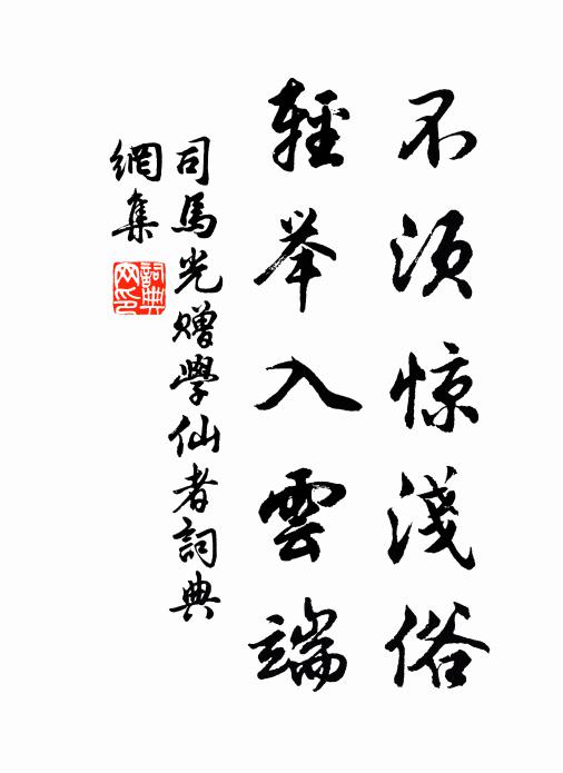 司马光不须惊浅俗，轻举入云端书法作品欣赏