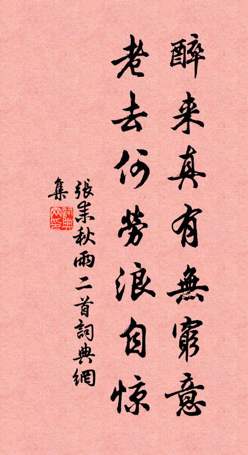张耒醉来真有无穷意，老去何劳浪自惊书法作品欣赏