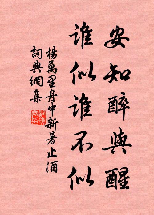 杨万里安知醉与醒，谁似谁不似书法作品欣赏