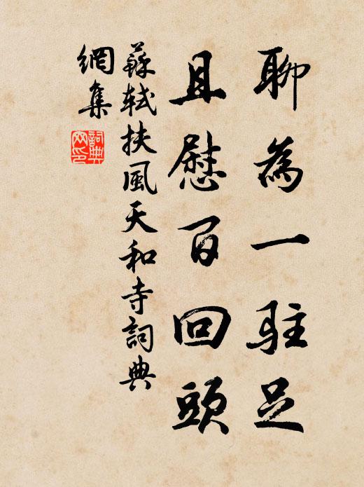 苏轼聊为一驻足，且慰百回头书法作品欣赏