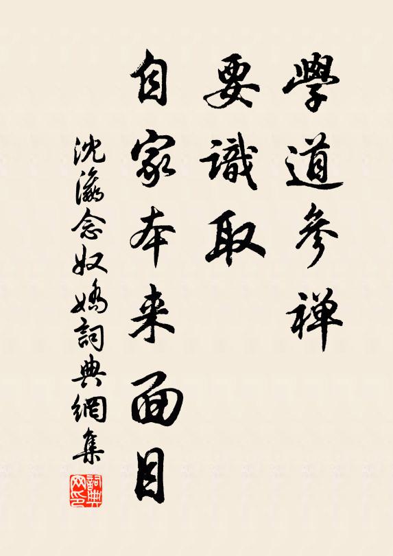 沈瀛学道参禅、要识取，自家本来面目书法作品欣赏