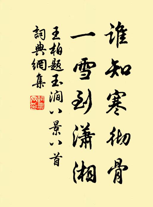 王柏谁知寒彻骨，一雪到潇湘书法作品欣赏